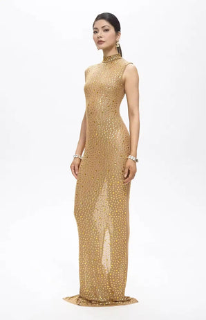 Mone Embellished Golden Mesh Maxi Dress