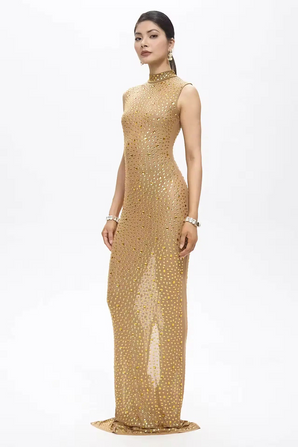 Mone Embellished Golden Mesh Maxi Dress